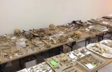 Uniwersytet Rzeszowski przechowywał ludzkie szczątki w sali wykładowej