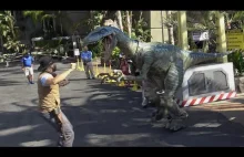 Raptor w Universal Studios Hollywood (4K)
