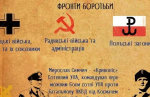 Ukraiński IPN zestawia Polskie Państwo Podziemne z nazistami i komunistami...