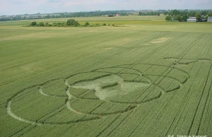 Kręgi zbożowe w Wylatowie