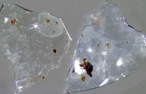 Spłukiwane zużyte szkła kontaktowe zanieczyszczają mikroplastikiem oceany i wodę