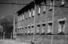 Esesmanka z Auschwitz pod sąd - przyczyniła się do wymordowania 260 tys. osób