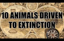 10 ANIMALS DRIVEN TO...