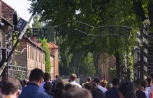 Auschwitz tylko dla polskich przewodników z licencją IPN.