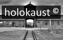 Holokaust „all rights reserved” Holokaust to potężna "marka" polityczna.