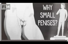 Dlaczego starożytne statuy mają małe penisy?