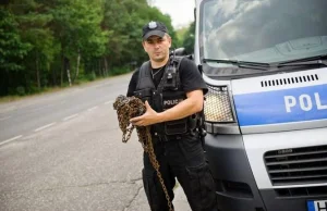 Szokujący wybryk: łańcuch zawieszony w poprzek drogi