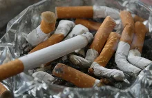 Papierosy znikną z Polski, a palenie zostanie wyeliminowane do 2030 roku?