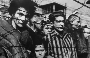 Bierność Zachodu wobec zagłady w Auschwitz