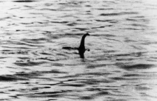 Naukowcy szykują się na polowanie na potwora z Loch Ness