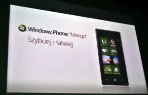 Największe wady Windows Phone 7.5