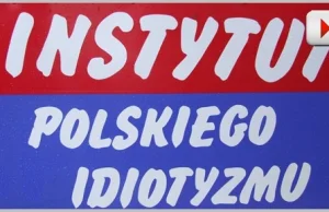 Instytut Polskiego Idiotyzmu