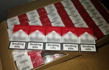 Ogromne ilości tytoniu i papierosów z znaleziono w Katowicach. Ich...