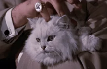 Ernst Stavro Blofeld był Polakiem i mieszkał w Gdyni | Strefa Historii