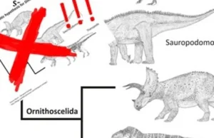 Nowe drzewo genealogiczne dla dinozaurów! [EN]