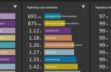 Monitoring wydajności polskich sklepów na Black Friday