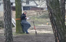 Mężczyzna przywiązał się do drzewa. W proteście przeciwko wycince - Wawer