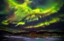 Piękna zorza w kształcie Feniksa na islandzkim niebie.