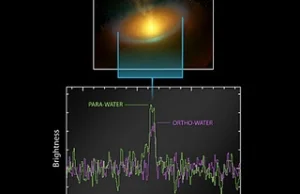 ExoplanetSpot: Woda i komety w odległych układach!