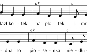 W las kotek na płotek - tyle lat to źle śpiewałem...