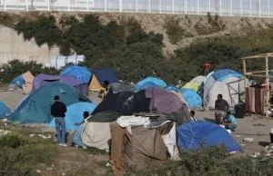 Belgijski minister: imigranci to wcale nie tacy biedacy