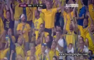 Gol Zlatana Ibrahimovica w meczu z Francją