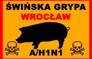 Świńska grypa we Wrocławiu! Unikać miejsc publicznych!