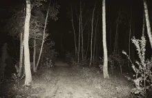 Przeklęte rewiry - czyli paranormalne zjawiska w podwarszawskich Laskach