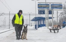 Powstanie Straż Kolejowa. Przejmie ona ochronę dworców