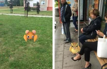 JAK STRACIĆ RODZINĘ, PRACĘ I ŻYCIE W DWA DNI PRZEZ POKÉMONY?