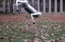 Nowy robot MIT potrafi wykonywać salta