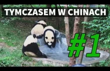 Tymczasem w Chinach #1 - relacja mirka z Chin. Pandy autostop i polski celebryta