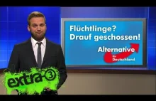 Powody dla ktory Niemcy wybieraja AfD (Alternatywa dla Niemiec" Sama prawda [DE]