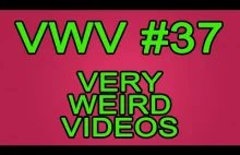 Very Weird Videos #37 | Bardzo Dziwne Filmiki #37