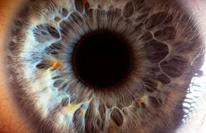 Zdjęcia makro ludzkiego oka