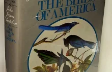 John James Audubon-Ptaki Ameryki