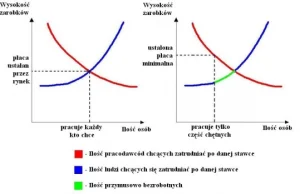 Dlaczego płaca minimalna jest bez sensu?