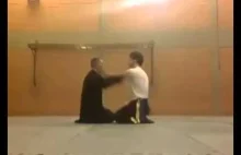 Z - liścia - jitsu