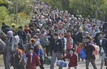 Do Niemiec trafi milion uchodźców z Syrii? „To kompletne szaleństwo”