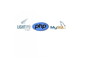 ubuntu 14-04 + lighttpd + mysql + php5 + vhost