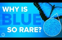 Why Is Blue So Rare In Nature?