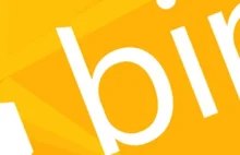 Bing osiągnął 20% udziału w USA