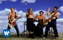 16 lat temu, Red Hot Chilli Peppers wydali album Californication