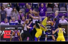 Bójka kobiet w WNBA