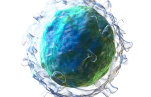 Zatarta granica śmierci komórki i dlaczego to ważne?