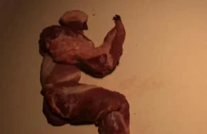 Ciekawa mięsna animacja