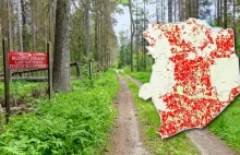 Szokująca mapa ujawnia, że Puszcza Białowieska to nie las pierwotny