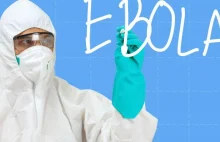 Zambia i Gwinea zamykają Granice! Najdłużej trwająca epidemia eboli w historii!