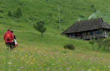 Jest takie miejsce, czyli o bakcylu złapanym przez pewien czarno-biały film.