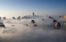 Smogi w miastach